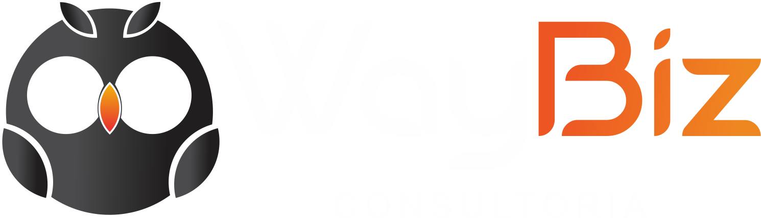 WayBiz Consultoria