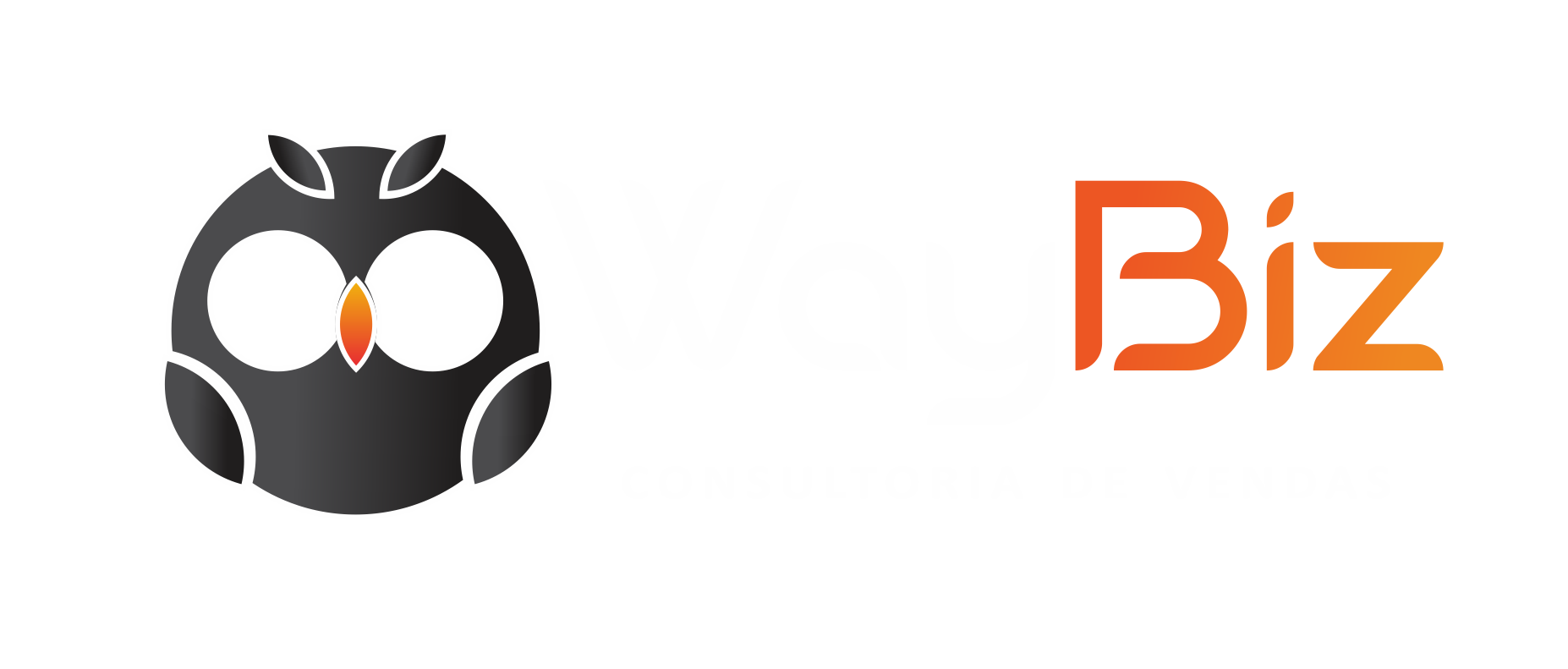 WayBiz Consultoria
